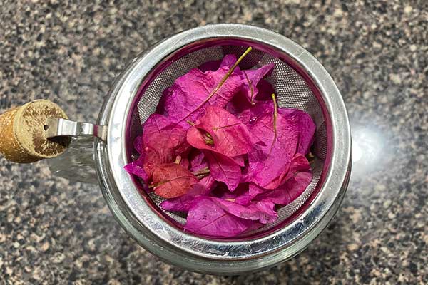 Picture of Bougainvillea bracts in a mesh strainer.