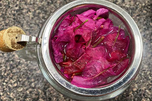 Picture of Bougainvillea bracts soaking in hot water.