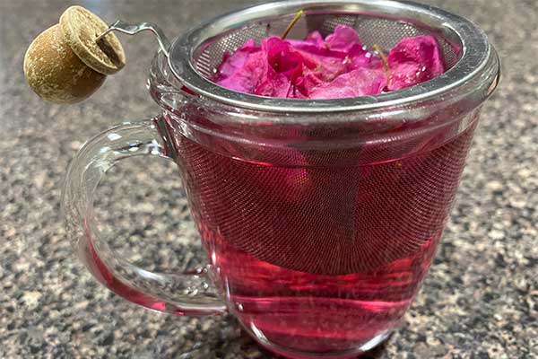 Picture of Bougainvillea bracts with water getting pink.