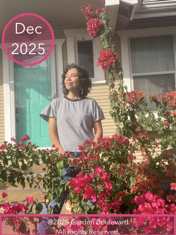 Bougainvilleas and me.