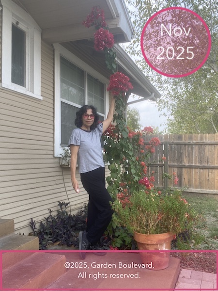 Bougainvilleas and me.