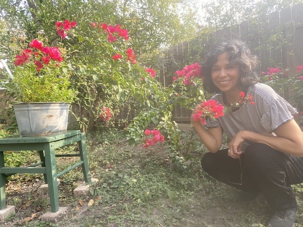 Bougainvilleas in front of home.